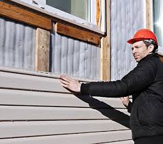 Best Vinyl Siding Installation  in Livingston, TX